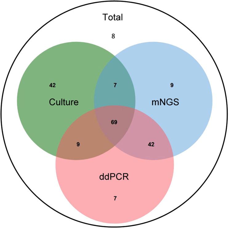 https://cdn.ncbi.nlm.nih.gov/pmc/blobs/35c0/12343261/14f5b48dc7a1/fcimb-15-1606283-g005.jpg