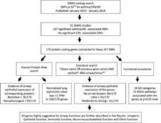 https://cdn.ncbi.nlm.nih.gov/pmc/blobs/35c0/7592594/4c4ba8af9cea/CLT2-10-45-g005.jpg