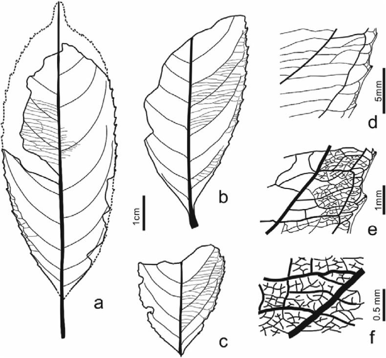 https://cdn.ncbi.nlm.nih.gov/pmc/blobs/35c1/8103422/8734e97c2f2f/gr3.jpg