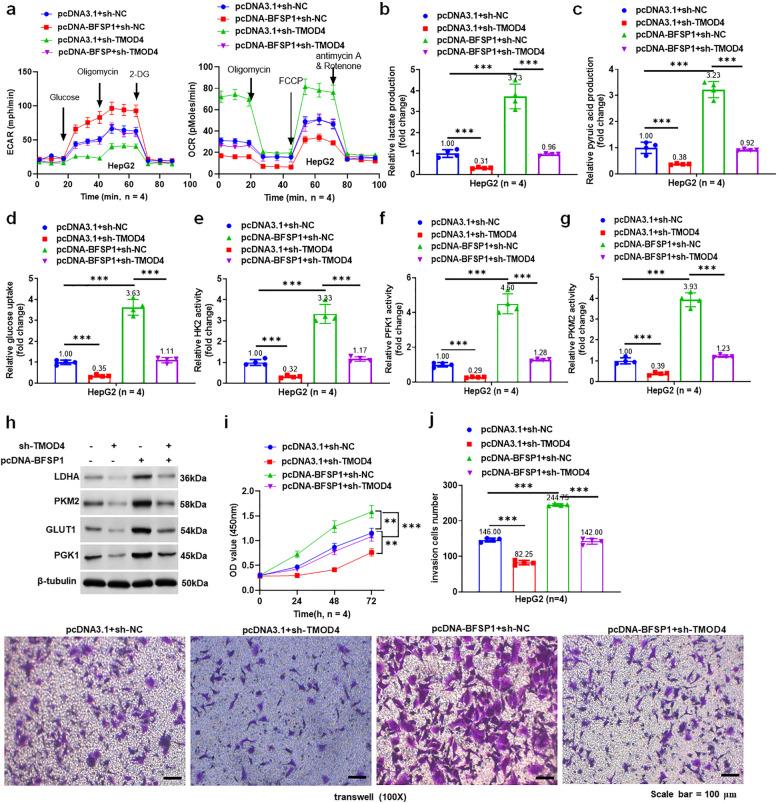 https://cdn.ncbi.nlm.nih.gov/pmc/blobs/35c2/11914548/09a1fe6a8c9a/43556_2025_256_Fig4_HTML.jpg