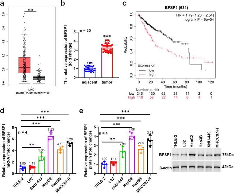 https://cdn.ncbi.nlm.nih.gov/pmc/blobs/35c2/11914548/9d7b34c34e63/43556_2025_256_Fig1_HTML.jpg