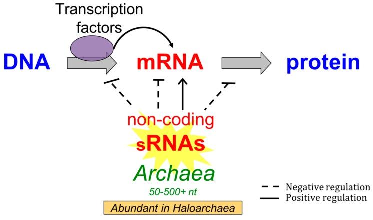 https://cdn.ncbi.nlm.nih.gov/pmc/blobs/35c2/5867862/d003ea9ba1ea/genes-09-00141-g004.jpg