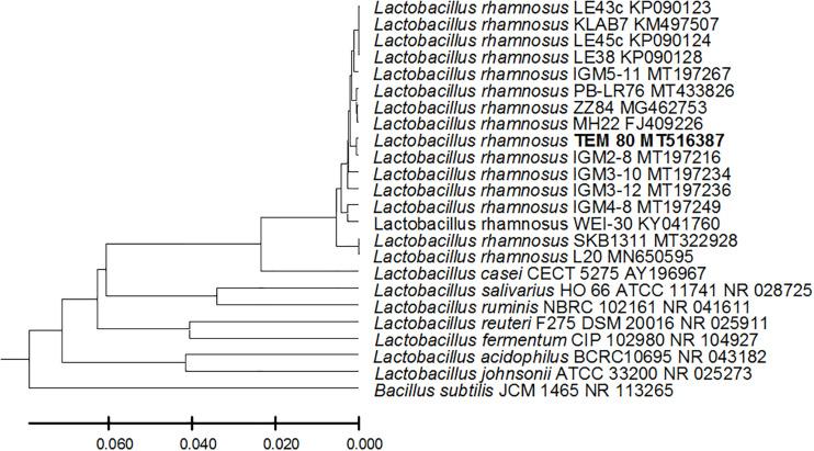 https://cdn.ncbi.nlm.nih.gov/pmc/blobs/35c2/7550472/83671e5584e8/fmicb-11-02017-g001.jpg