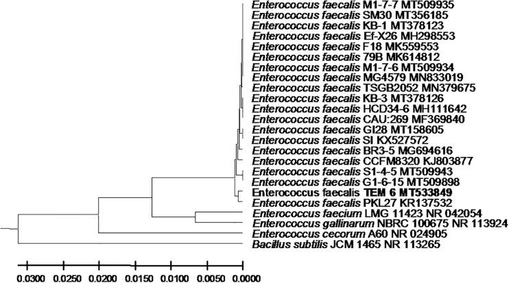 https://cdn.ncbi.nlm.nih.gov/pmc/blobs/35c2/7550472/b5b78dd6b721/fmicb-11-02017-g004.jpg