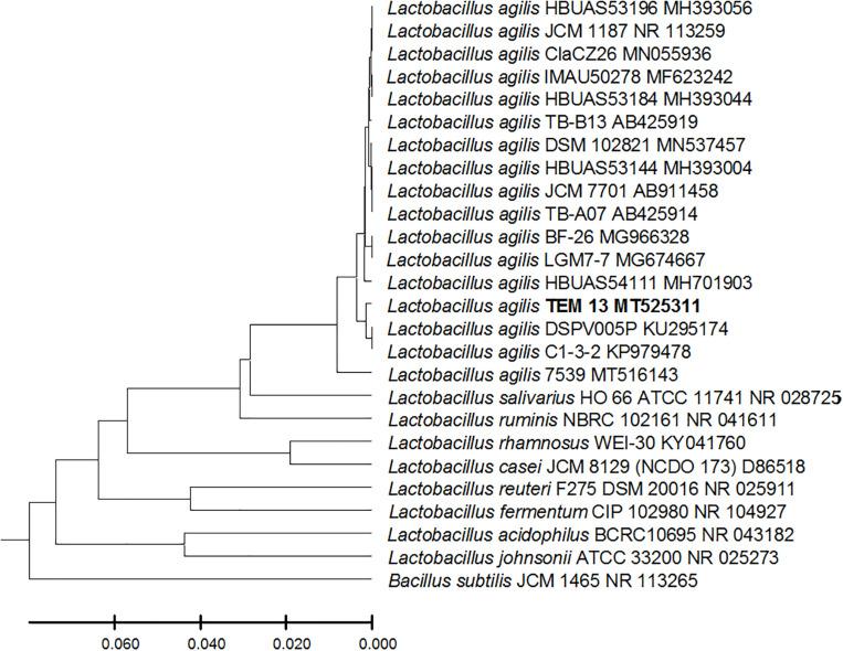 https://cdn.ncbi.nlm.nih.gov/pmc/blobs/35c2/7550472/b9dc11f3070d/fmicb-11-02017-g003.jpg