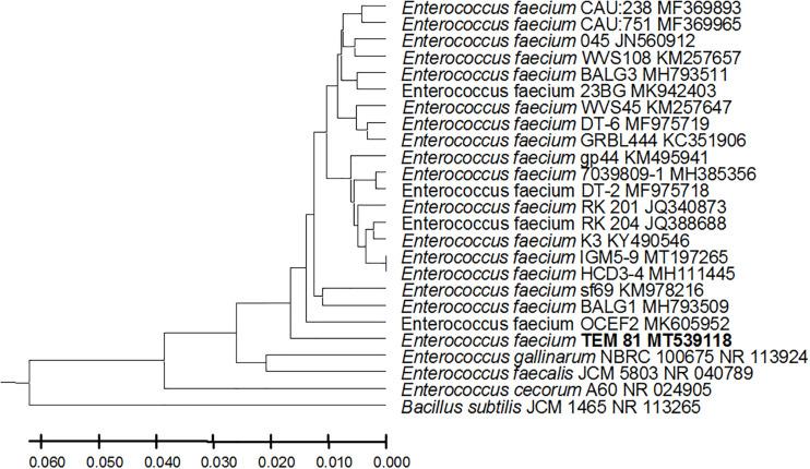 https://cdn.ncbi.nlm.nih.gov/pmc/blobs/35c2/7550472/bb993ebf1a13/fmicb-11-02017-g005.jpg