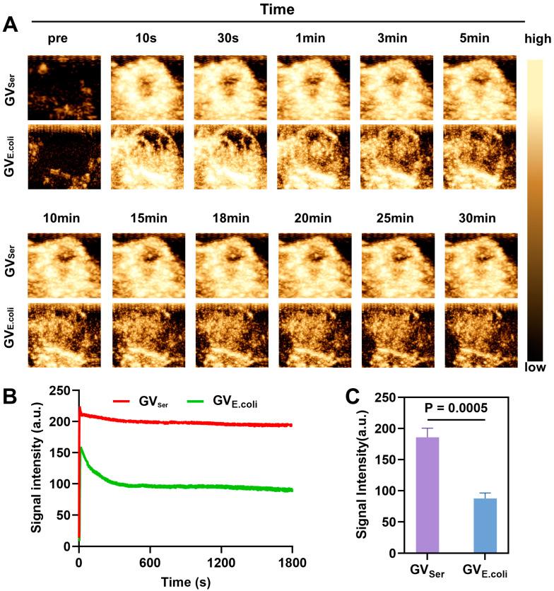 https://cdn.ncbi.nlm.nih.gov/pmc/blobs/35c5/11207003/2f4dd73f5dcb/pharmaceuticals-17-00755-g005.jpg