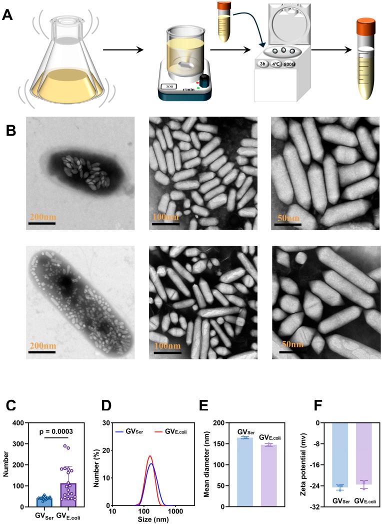 https://cdn.ncbi.nlm.nih.gov/pmc/blobs/35c5/11207003/4bb7b373c6a8/pharmaceuticals-17-00755-g001.jpg
