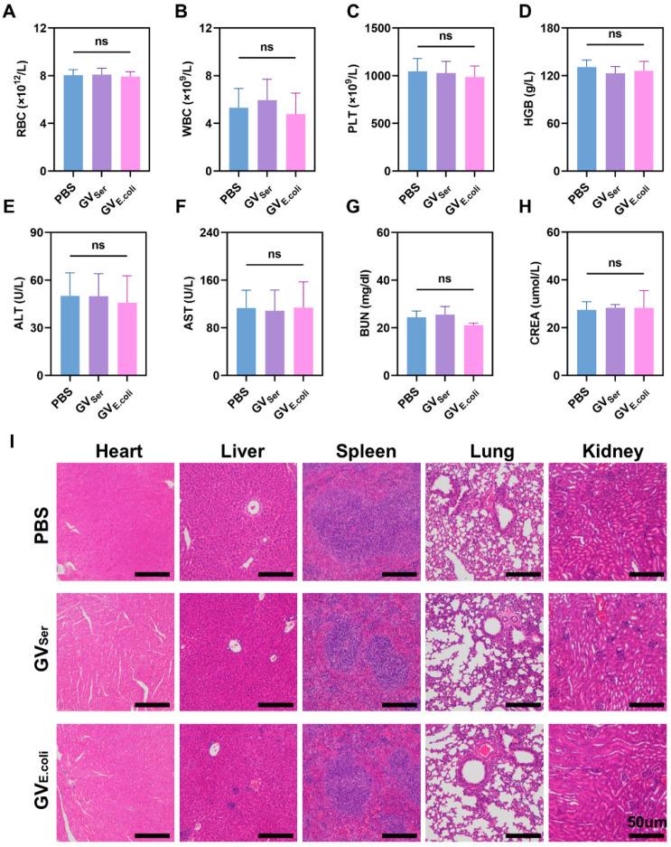 https://cdn.ncbi.nlm.nih.gov/pmc/blobs/35c5/11207003/641ea496bd79/pharmaceuticals-17-00755-g006.jpg