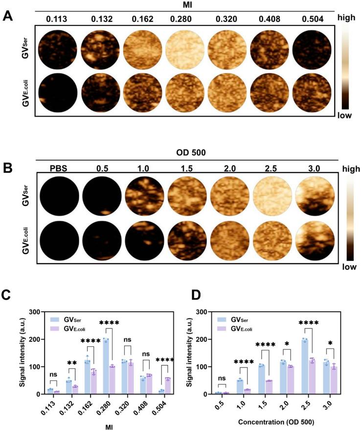 https://cdn.ncbi.nlm.nih.gov/pmc/blobs/35c5/11207003/94576299e960/pharmaceuticals-17-00755-g002.jpg