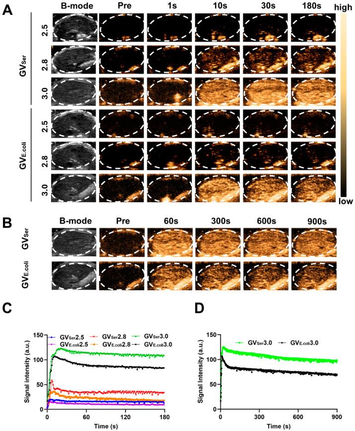 https://cdn.ncbi.nlm.nih.gov/pmc/blobs/35c5/11207003/f287d560a54f/pharmaceuticals-17-00755-g003.jpg