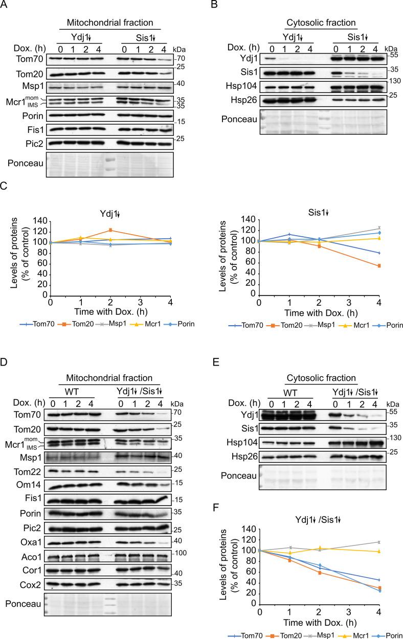 https://cdn.ncbi.nlm.nih.gov/pmc/blobs/35c5/9355564/a8aeae0ce0bd/elife-77706-fig3.jpg