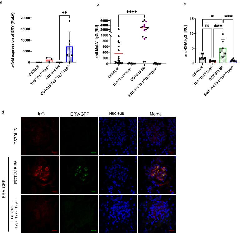https://cdn.ncbi.nlm.nih.gov/pmc/blobs/35c7/10858178/0b9992cc032a/41467_2024_45201_Fig6_HTML.jpg