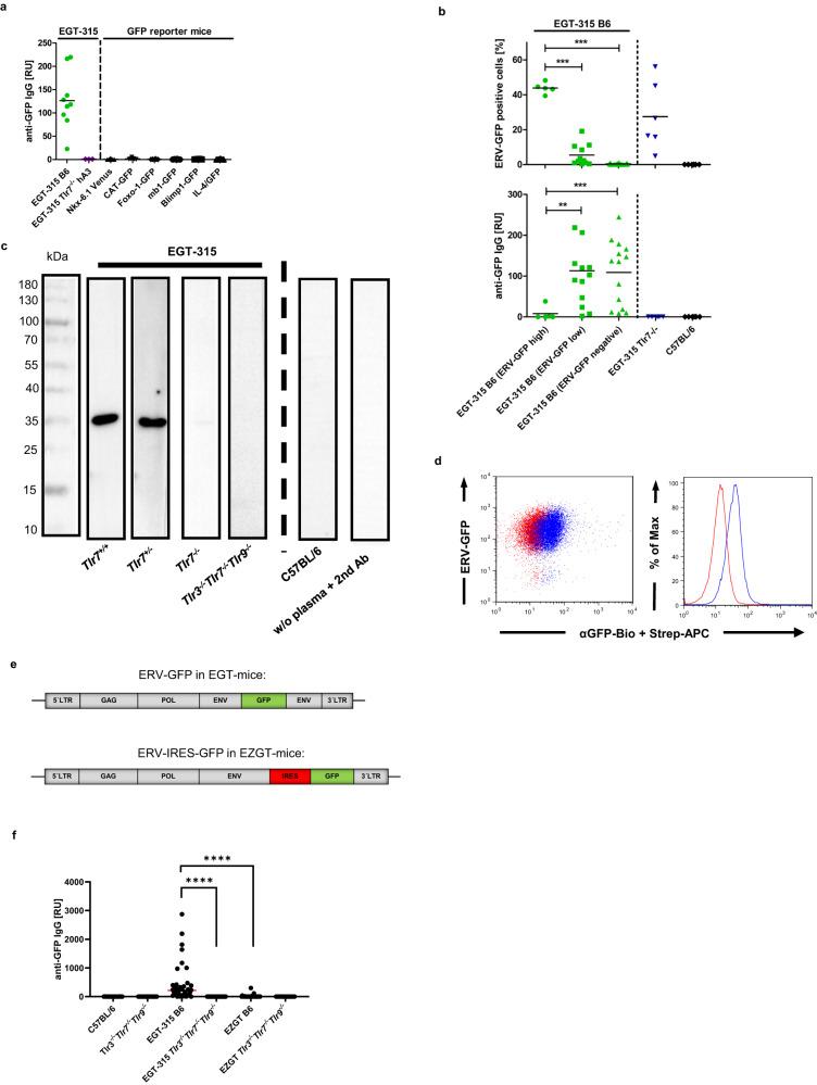 https://cdn.ncbi.nlm.nih.gov/pmc/blobs/35c7/10858178/17d305ffcf6d/41467_2024_45201_Fig3_HTML.jpg