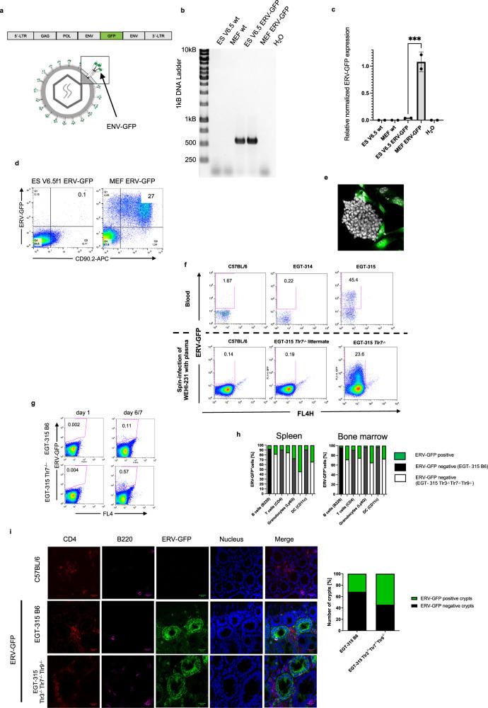 https://cdn.ncbi.nlm.nih.gov/pmc/blobs/35c7/10858178/54a3a009dcd4/41467_2024_45201_Fig1_HTML.jpg