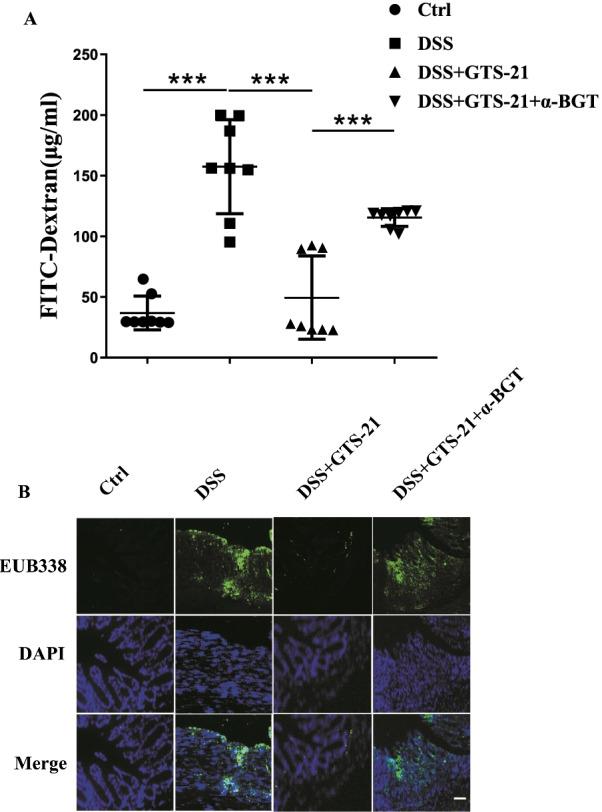 https://cdn.ncbi.nlm.nih.gov/pmc/blobs/35c8/9164421/074ce70f3d56/10020_2022_485_Fig2_HTML.jpg