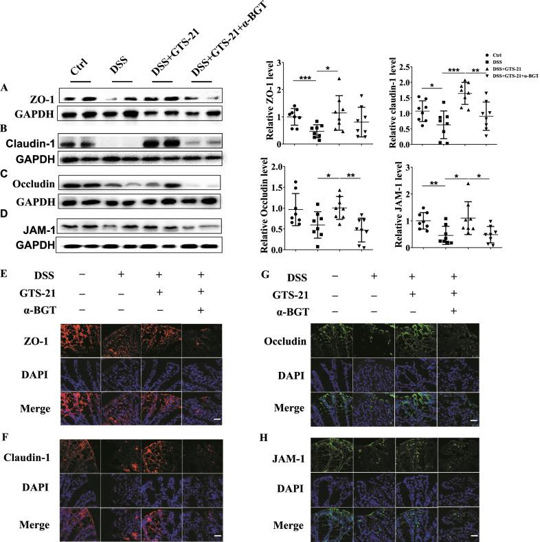 https://cdn.ncbi.nlm.nih.gov/pmc/blobs/35c8/9164421/579154ea3b18/10020_2022_485_Fig3_HTML.jpg