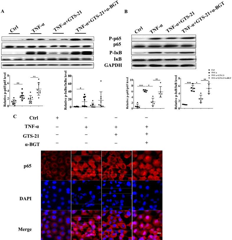 https://cdn.ncbi.nlm.nih.gov/pmc/blobs/35c8/9164421/946d093ca881/10020_2022_485_Fig5_HTML.jpg