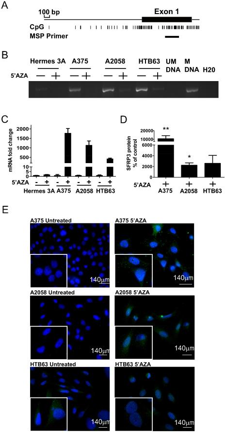 https://cdn.ncbi.nlm.nih.gov/pmc/blobs/35c9/3072980/d4399cc50a2d/pone.0018674.g002.jpg