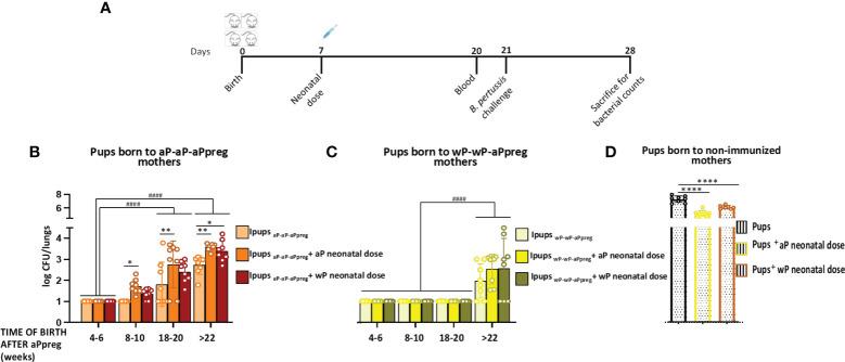 https://cdn.ncbi.nlm.nih.gov/pmc/blobs/35ca/10330814/2de3bb6c631c/fimmu-14-1192119-g006.jpg