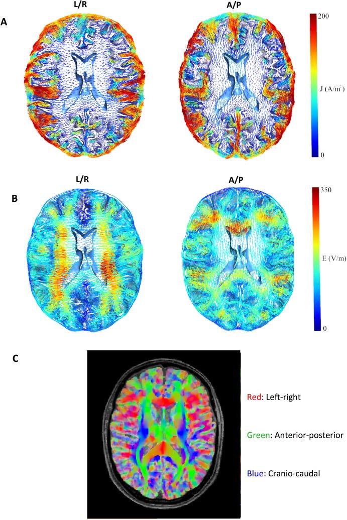 https://cdn.ncbi.nlm.nih.gov/pmc/blobs/35ca/5467909/ff9245d32db6/pone.0179214.g005.jpg