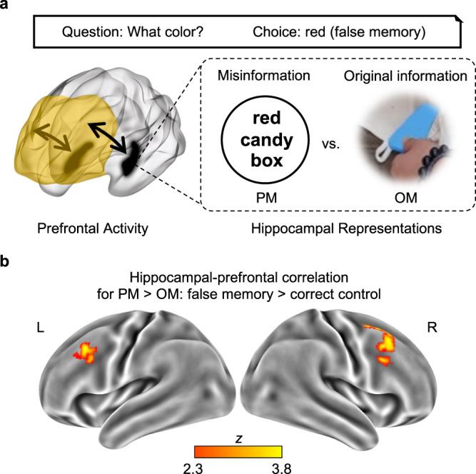 https://cdn.ncbi.nlm.nih.gov/pmc/blobs/35cb/10121656/84d0e1912124/41467_2023_38046_Fig5_HTML.jpg