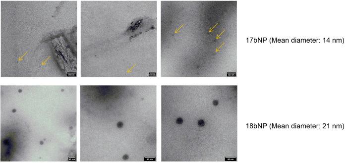https://cdn.ncbi.nlm.nih.gov/pmc/blobs/35cb/10220756/3b6ec77642b5/pharmaceuticals-16-00722-g005.jpg