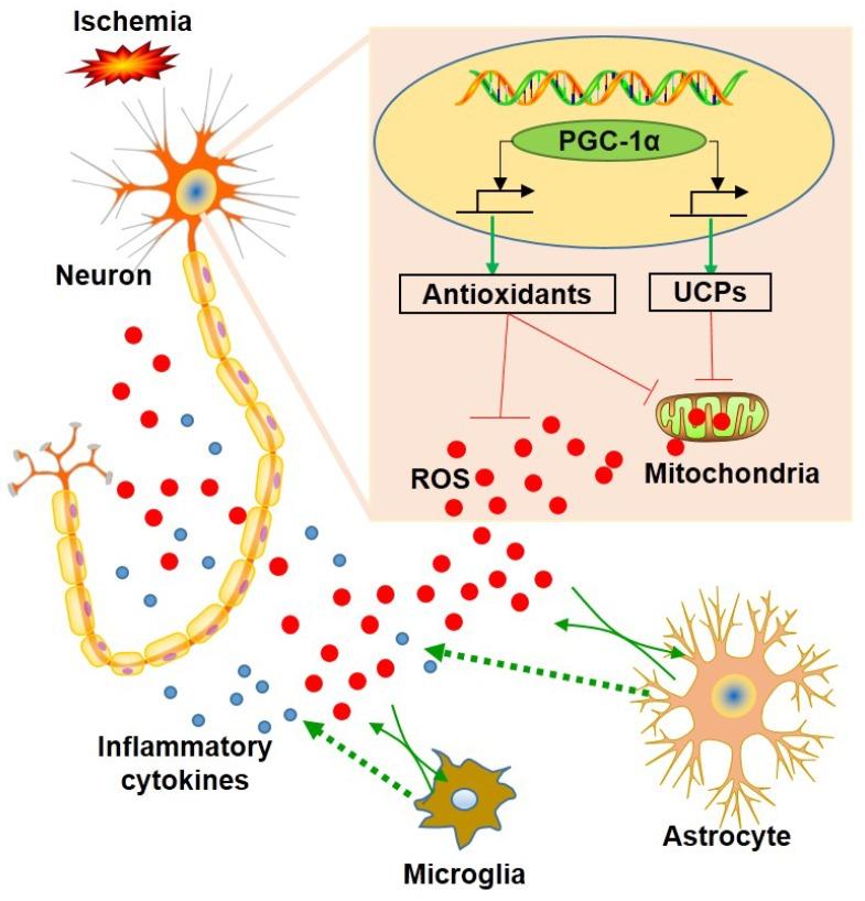 https://cdn.ncbi.nlm.nih.gov/pmc/blobs/35cb/7052889/a9015b8d5fe3/thnov10p2832g009.jpg