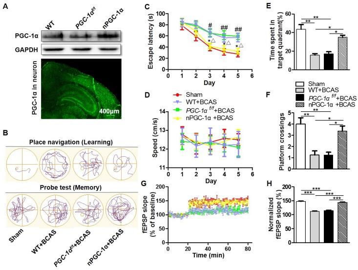 https://cdn.ncbi.nlm.nih.gov/pmc/blobs/35cb/7052889/ad835382d905/thnov10p2832g002.jpg