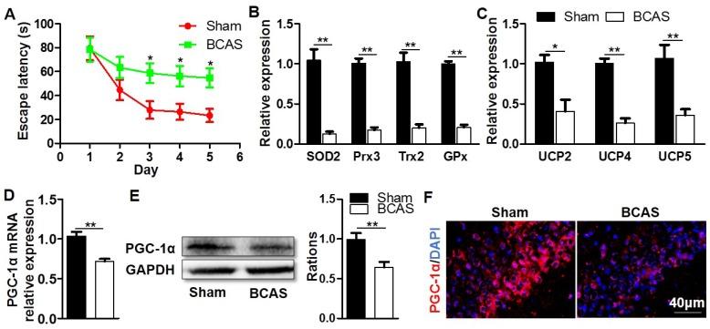 https://cdn.ncbi.nlm.nih.gov/pmc/blobs/35cb/7052889/f6907c4fc461/thnov10p2832g001.jpg