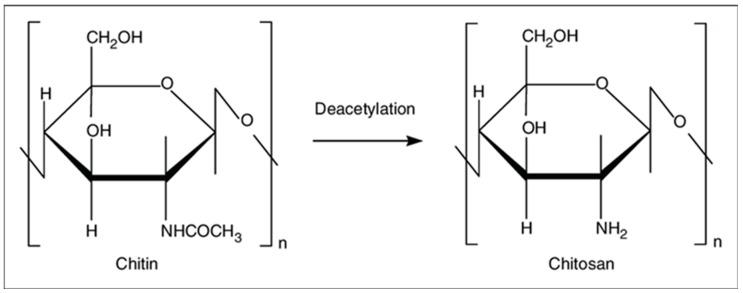 https://cdn.ncbi.nlm.nih.gov/pmc/blobs/35cc/6770583/ece9819b6c10/biomolecules-09-00470-g001.jpg