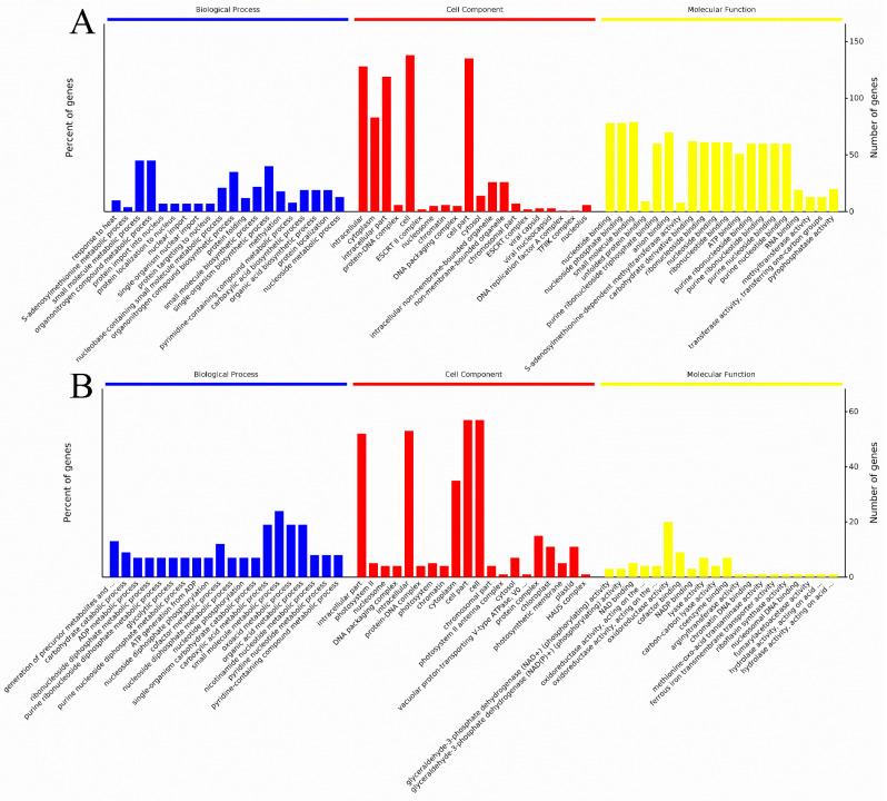 https://cdn.ncbi.nlm.nih.gov/pmc/blobs/35cd/10780617/2ee09c01c947/plants-13-00091-g003.jpg