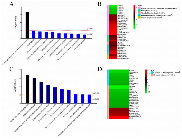 https://cdn.ncbi.nlm.nih.gov/pmc/blobs/35cd/10780617/348f75fcd5b8/plants-13-00091-g004.jpg
