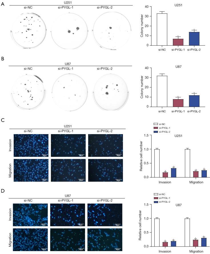 https://cdn.ncbi.nlm.nih.gov/pmc/blobs/35cd/11543057/0955728297fd/tcr-13-10-5627-f4.jpg