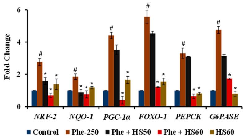 https://cdn.ncbi.nlm.nih.gov/pmc/blobs/35cf/9502750/10e0a7c05f81/nutrients-14-03829-g012.jpg