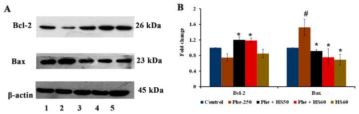 https://cdn.ncbi.nlm.nih.gov/pmc/blobs/35cf/9502750/8ecd2c393a91/nutrients-14-03829-g011.jpg