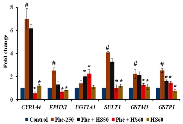 https://cdn.ncbi.nlm.nih.gov/pmc/blobs/35cf/9502750/ee988bf539e9/nutrients-14-03829-g008.jpg
