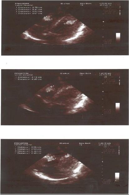 https://cdn.ncbi.nlm.nih.gov/pmc/blobs/35d0/4402421/b55d2d984bb5/ijph-44-407f5.jpg