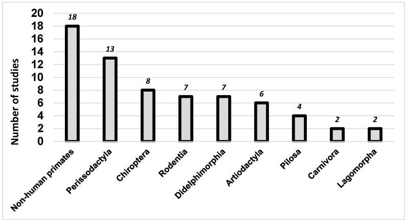 https://cdn.ncbi.nlm.nih.gov/pmc/blobs/35d0/9962704/26d4c408a4bb/viruses-15-00417-g002.jpg
