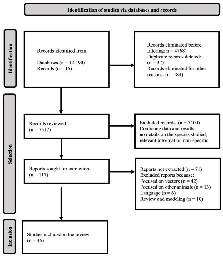 https://cdn.ncbi.nlm.nih.gov/pmc/blobs/35d0/9962704/d201918cc1d7/viruses-15-00417-g001.jpg