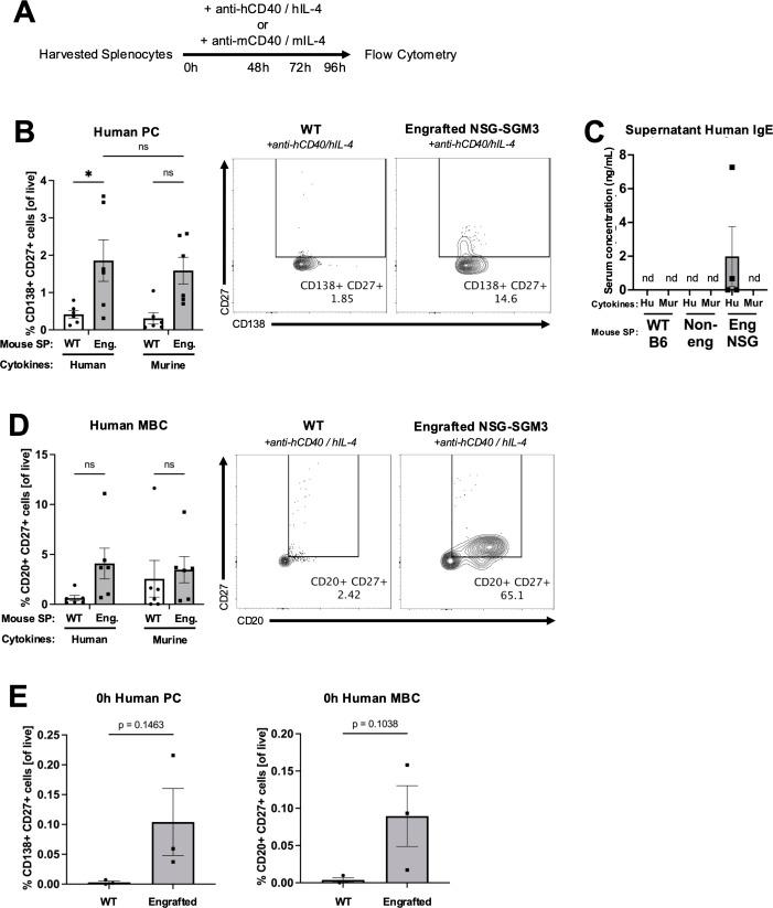https://cdn.ncbi.nlm.nih.gov/pmc/blobs/35d1/12414937/48f0f7d63ee4/fimmu-16-1628194-g002.jpg