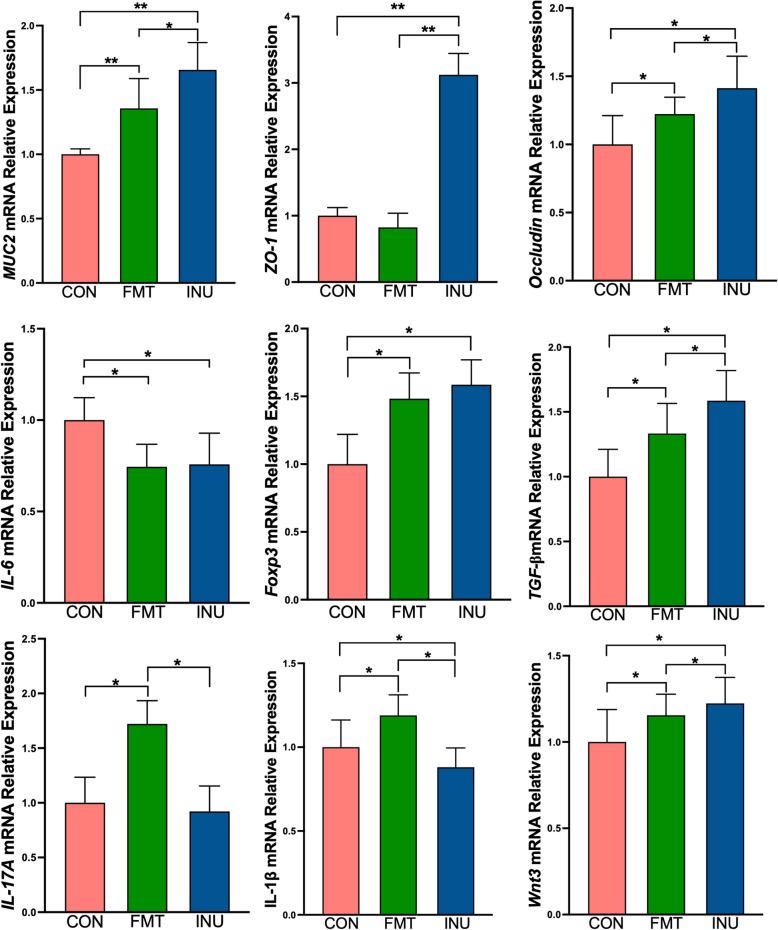 https://cdn.ncbi.nlm.nih.gov/pmc/blobs/35d3/11998286/9449cdb105a6/40168_2025_2084_Fig4_HTML.jpg
