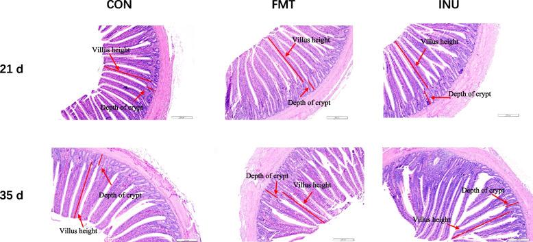 https://cdn.ncbi.nlm.nih.gov/pmc/blobs/35d3/11998286/cd1beba4d90d/40168_2025_2084_Fig1_HTML.jpg