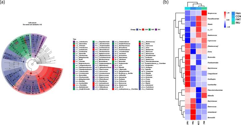 https://cdn.ncbi.nlm.nih.gov/pmc/blobs/35d3/11998286/ff2c4a2cce8e/40168_2025_2084_Fig13_HTML.jpg