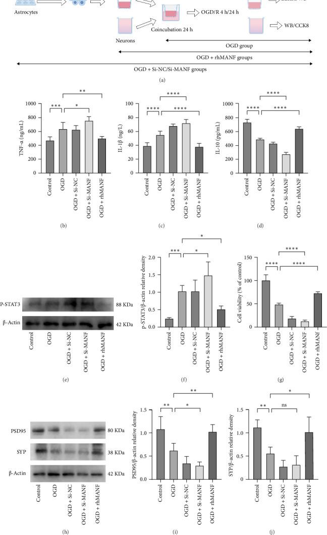 https://cdn.ncbi.nlm.nih.gov/pmc/blobs/35d5/12411029/c3c67e015b23/NP2025-6776608.004.jpg