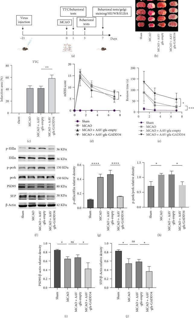 https://cdn.ncbi.nlm.nih.gov/pmc/blobs/35d5/12411029/c94572dd2e02/NP2025-6776608.001.jpg