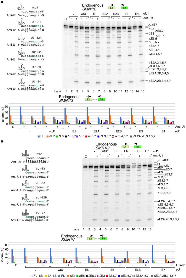 https://cdn.ncbi.nlm.nih.gov/pmc/blobs/35d6/11289892/021151bc856a/fnins-18-1412893-g004.jpg
