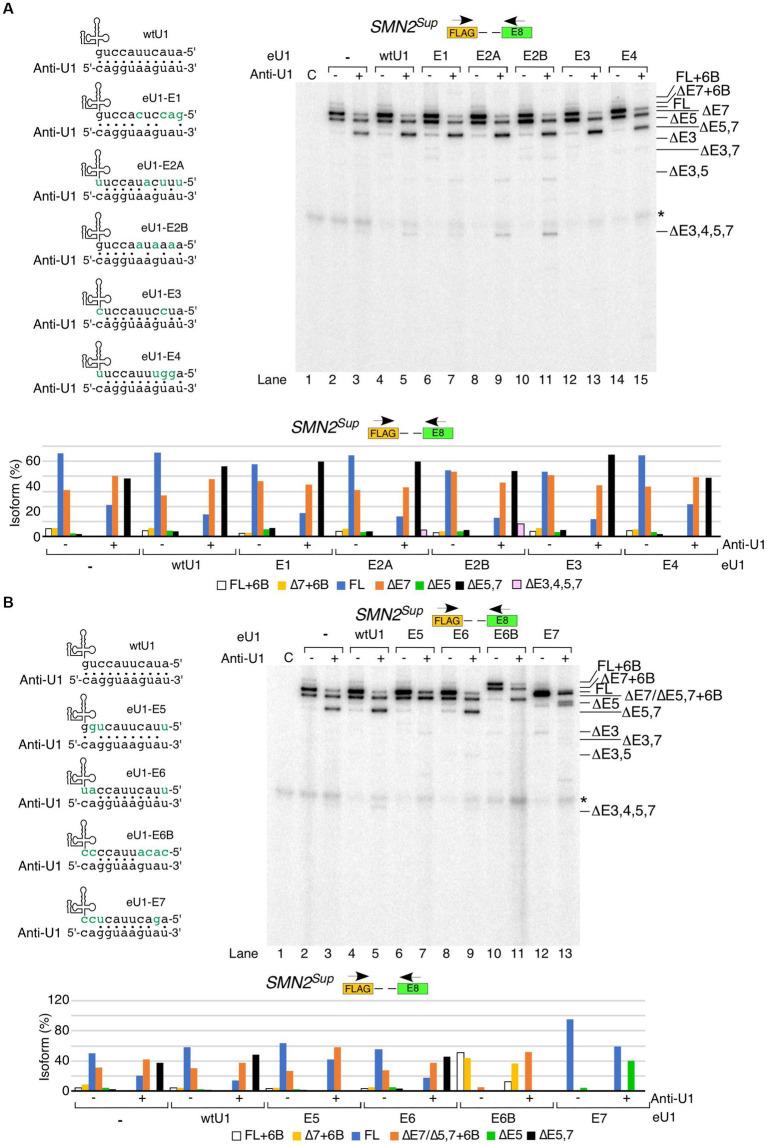 https://cdn.ncbi.nlm.nih.gov/pmc/blobs/35d6/11289892/66cc3bfe7e13/fnins-18-1412893-g005.jpg