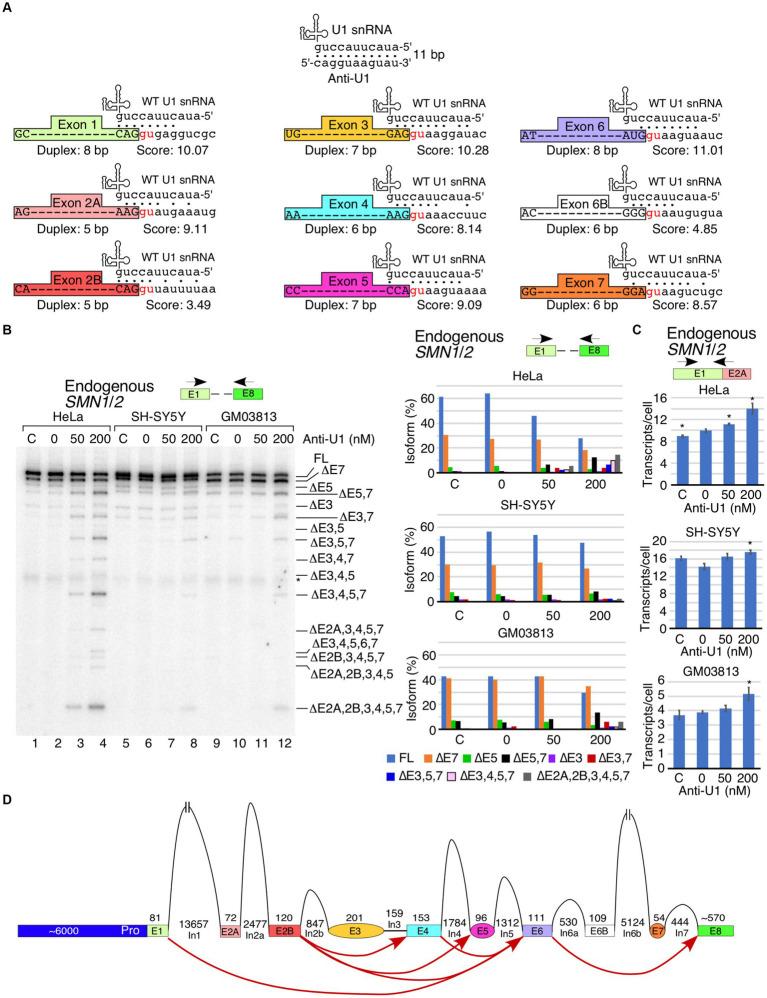 https://cdn.ncbi.nlm.nih.gov/pmc/blobs/35d6/11289892/c2e95584f798/fnins-18-1412893-g001.jpg