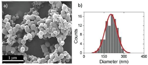 https://cdn.ncbi.nlm.nih.gov/pmc/blobs/35d6/8425867/276b773a5072/ADVS-8-2004819-g007.jpg